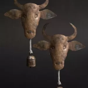 Bull Head Big